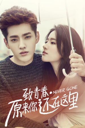 Never Gone English Subtitle