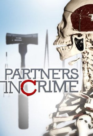 Partners in Crime S2 English Subtitle